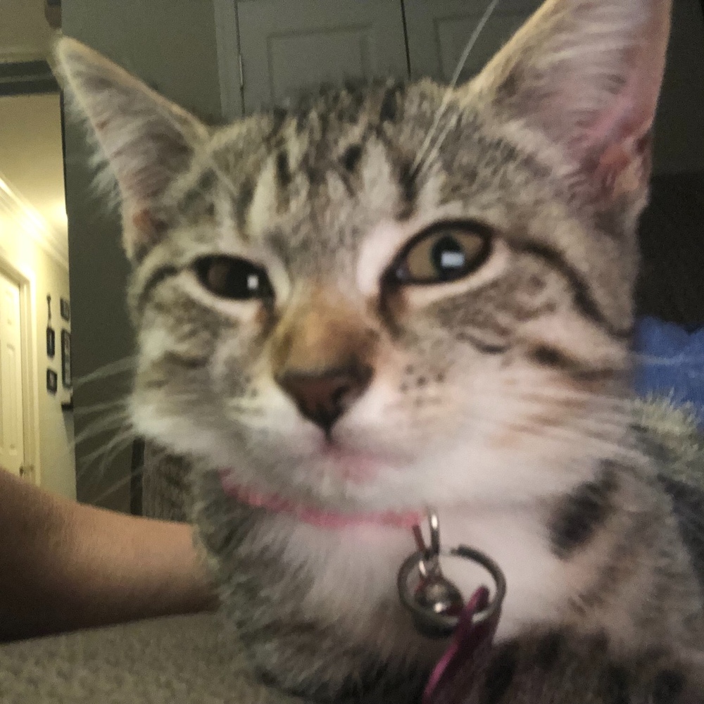 Meet your Posher, Stacey